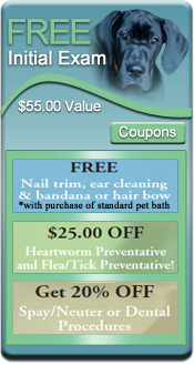 Sully Animal Hospital - Veterinarians serving Centreville, VA - Coupons