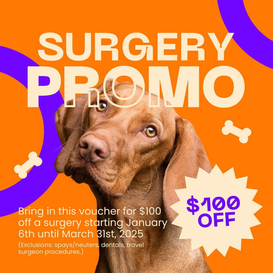 Surgery Promotion